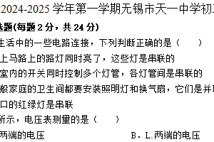 江苏省无锡市天一中学2024-2025学年上学期九年级物理期末模拟试卷（含答案）