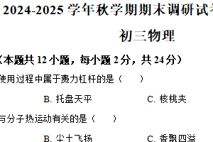 江苏省无锡市锡山区2024-2025学年九年级上学期期末考试物理试题（含解析）
