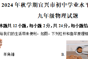 江苏省无锡市宜兴市2024-2025学年九年级上学期期末考试物理试题（含解析）