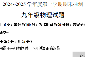 江苏省徐州市2024-2025学年九年级上学期期末抽测物理试题（含答案）