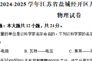 江苏省盐城经开区2024-2025学年九年级上学期期末考试物理试题（含解析）