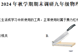 江苏省盐城市大丰区联考2024-2025学年九年级上学期期末物理试题（含解析）