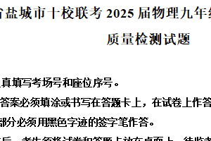 江苏省盐城市十校联考2024-2025学年九年级上学期期末教学质量检测物理试题（含解析）