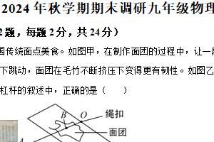 江苏省扬州市宝应县多校联考2024-2025学年九年级上学期期末物理试题（含解析）