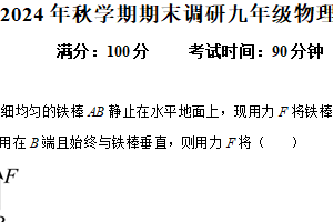 江苏省扬州市高邮市联考2024-2025学年九年级上学期期末物理试题（含解析）