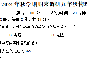 江苏省扬州市江都区联考2024-2025学年九年级上学期期末物理试题（含解析）