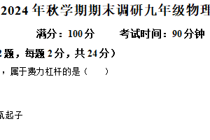 江苏省扬州市仪征市2联考2024-2025学年九年级上学期1月期末物理试题（含解析）