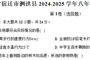 江苏省宿迁市泗洪县2024-2025学年八年级（上）期末物理试卷（含解析）