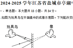 江苏省盐城市亭湖中学2024-2025学年八年级上学期期末物理试卷（含解析）