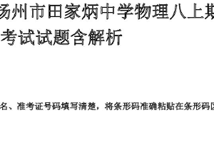 江苏省扬州市田家炳中学2024－2025学年八年级上学期期末考试物理试题（含答案）