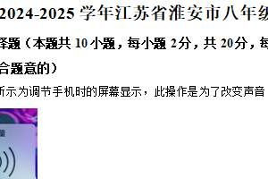 江苏省淮安市2024-2025学年八年级上学期期末考试物理试题（含解析）
