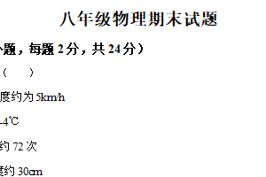 江苏省徐州市沛县五中联盟学区2024-2025学年八年级上学期期末物理试题（含解析）