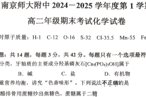 江苏省南京师大附中2024-2025学年高二上学期期末考试化学试题（含答案）