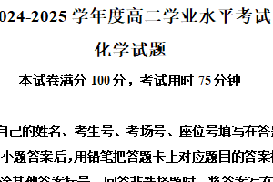 江苏省盐城市实验高级中学 射阳县高级中学2024-2025学年高二上学期学业水平考试 化学试题（含解析）