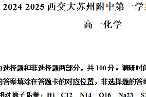 江苏省苏州市工业园区西安交通大学苏州附属中学2024-2025学年高一上学期期末模拟化学试题（含解析）