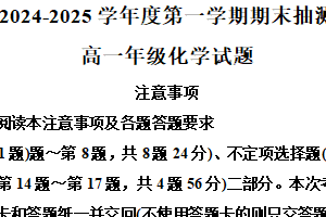 江苏省徐州市2024-2025学年高一上学期期末考试 化学试卷（含解析）