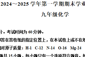 江苏省南京市建邺区2024-2025学年九年级上学期期末化学试题（含答案）