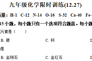 江苏省南京市金陵中学河西分校2024-2025学年九年级上学期化学期末模拟试卷（含答案）