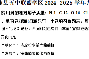 江苏省徐州市沛县五中联盟学区2024-2025学年九年级上学期1月期末化学试题（含答案）