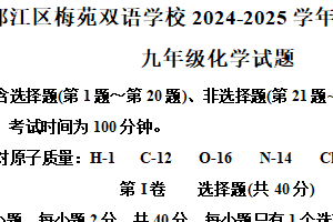 江苏省扬州市邗江区梅苑双语学校2024-2025学年九年级上学期期末化学试题（含答案）