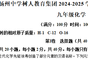 江苏省扬州市树人集团2024-2025学年九年级上学期1月期末化学试题（含答案）