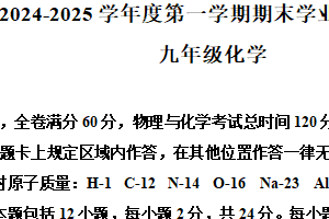 江苏省连云港市海州区2024-2025学年九年级上学期期末化学试题（含解析）
