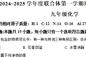 江苏省南京市联合体2024-2025学年九年级上学期期末化学试题（含解析）