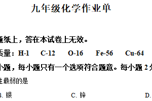 江苏省南京市玄武区2024-2025学年九年级上学期1月期末化学试题（含解析）
