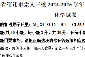 江苏省宿迁市崇文三校2024-2025学年九年级上学期期末化学试题（含解析）