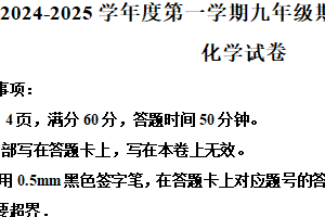 江苏省宿迁市宿城区新区教学共同体2024-2025学年九年级上学期1月期末化学试题（含解析）