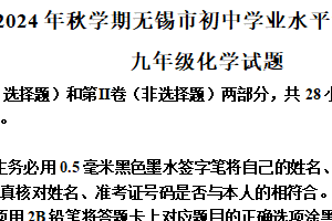 江苏省无锡市2024-2025学年九年级上学期期末化学试题（含解析）