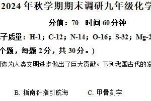 江苏省盐城市大丰区2024-2025学年九年级上学期期末化学试题（含解析）