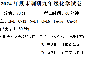 江苏省扬州市高邮市2024-2025学年九年级上学期1月期末联考化学试题（含解析）