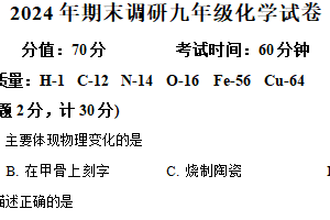 江苏省扬州市宝应县2024-2025学年九年级上学期1月期末化学试题（含解析）