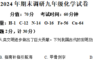 江苏省盐城市盐城经济技术开发区2024-2025学年九年级上学期1月期末化学试题（含解析）
