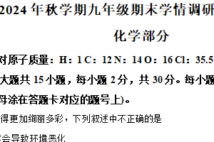 江苏省盐城市阜宁县2024-2025学年九年级上学期1月期末化学试题（含解析）