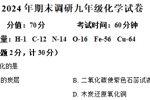 江苏省扬州市江都区2024-2025学年九年级上学期1月期末联考化学试题（含解析）
