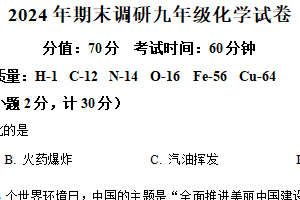 江苏省扬州市仪征市2024-2025学年九年级上学期1月期末联考化学试题（含解析）