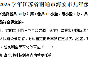 江苏省南通市海安市2024-2025学年九年级上学期1月期末道德与法治试题（含解析）