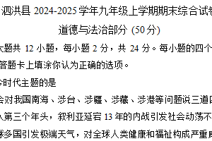 江苏省宿迁市泗洪县 2024-2025学年九年级上学期期末综合道德与法治试卷（含答案）