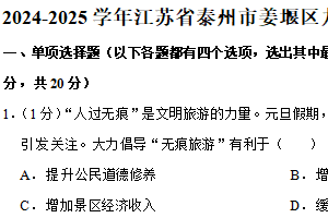 江苏省泰州市姜堰区 2024-2025学年九年级上学期期末道德与法治试卷（含解析）
