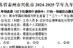 江苏省泰州市兴化市2024-2025学年九年级上学期期末道德与法治试卷（含解析）