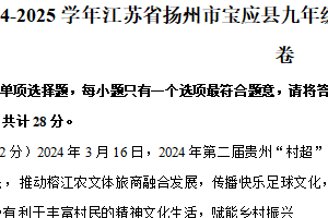 江苏省扬州市宝应县2024-2025学年九年级上学期期末调研道德与法治试卷（含解析）