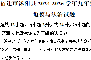 江苏省宿迁市沭阳县2024-2025学年九年级上学期期末道德与法治试题（含解析）