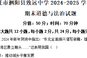 江苏省宿迁市泗阳县致远中学2024-2025学年九年级上学期期末道德与法治试题（含解析）