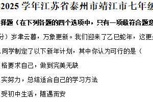 江苏省泰州市靖江市2024-2025学年七年级上学期期末道德与法治试卷（含解析）