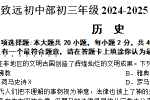 江苏省宿迁市泗阳县致远中学2024-2025学年九年级上学期12月期末历史试题（含答案）
