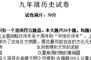 江苏省盐城市盐都区2024-2025学年九年级上学期期末考试历史试卷（含答案）