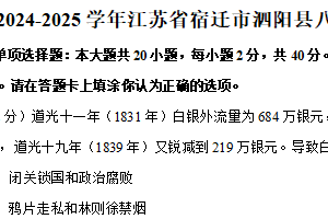江苏省宿迁市泗阳县2024-2025学年八年级上学期期末历史试卷（含解析）