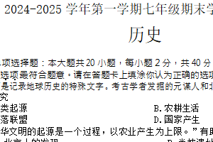 江苏省宿迁市泗阳县2024-2025学年七年级上学期1月期末历史试题（含答案）